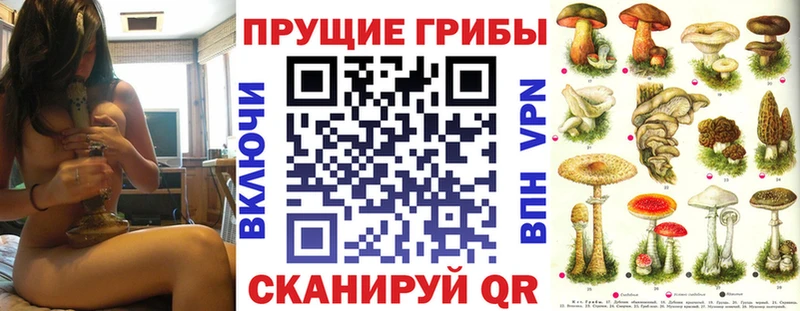 гидра как зайти  Горно-Алтайск  Псилоцибиновые грибы мицелий  магазин  наркотиков 