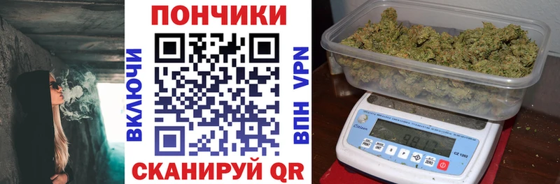 Конопля гибрид  Горно-Алтайск 
